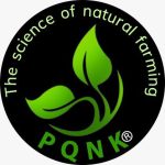 PQNK / Pedaver (Pakistan)