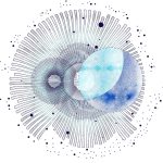 Spore Initiative (Germany)