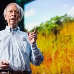 How to green the world’s deserts and reverse climate change