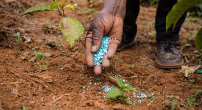 The Long-Term Effect of Chemical Fertilizers on Soil Health