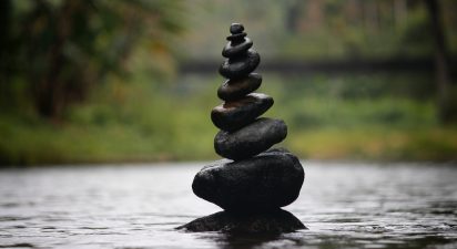 The Matter of Things: A Deep Dive into the Mind and the World