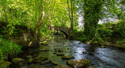 The Miyawaki Method: A Revolutionary Approach to Forest Creation