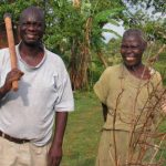 Revolutionizing Agriculture: Transforming Small Plots into Lush Food Forests