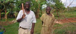 Revolutionizing Agriculture: Transforming Small Plots into Lush Food Forests