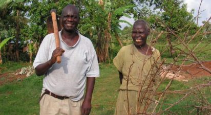 Revolutionizing Agriculture: Transforming Small Plots into Lush Food Forests