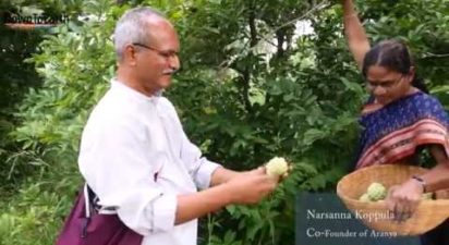 The Aranya story: turning barren land into a food forest using permaculture