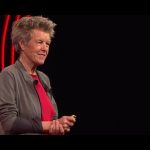 Tomatoes talk, birch trees learn – do plants have dignity?