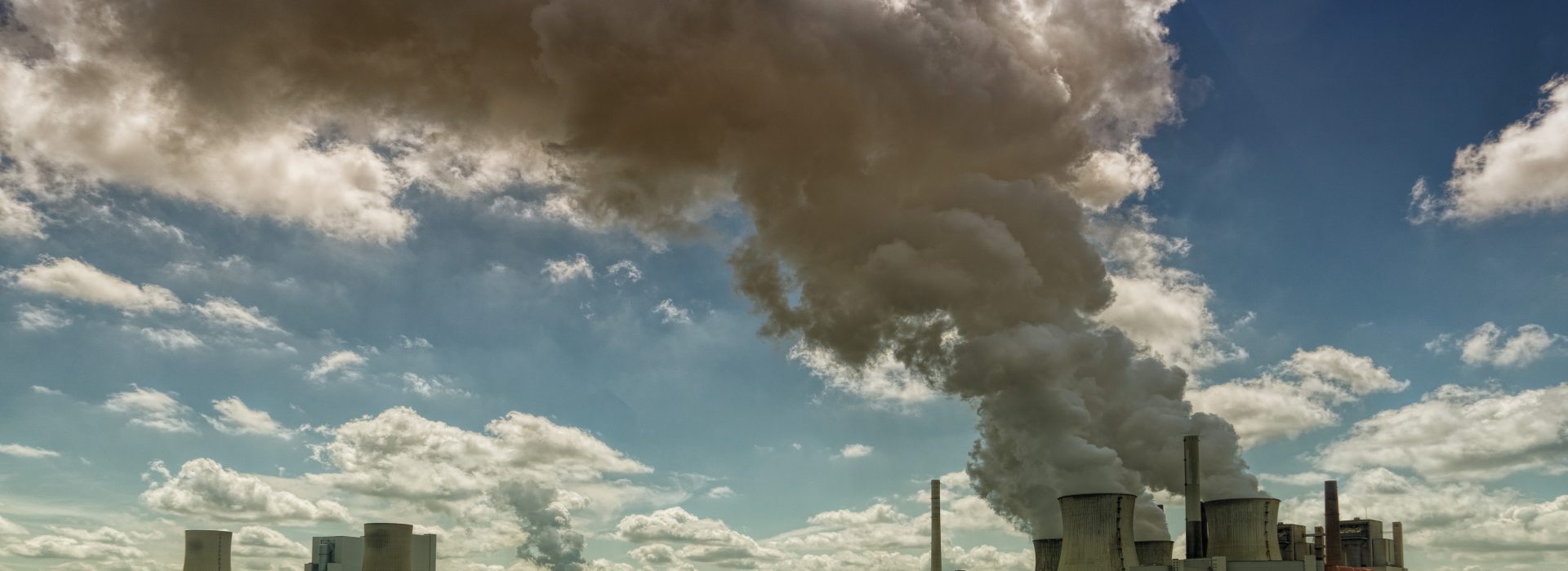 Vandana Shiva on Industrial Agriculture: A Critique of Globalization