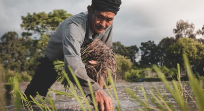 Harmony with Nature: The Core Principles of Masanobu Fukuoka’s ‘Do-Nothing’ Farming Method