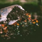 Understanding the Impact of Industrial Agriculture on Soil Health and the Role of Sustainable Practices