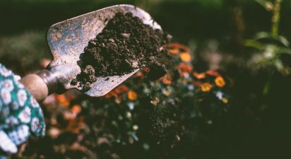 Understanding the Impact of Industrial Agriculture on Soil Health and the Role of Sustainable Practices
