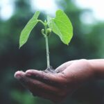 WWF-Pakistan & Laudes Foundation Launch Regenerative Production Landscape Collaborative in Pakistan