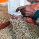 Vandana Shiva: Championing the Sacredness of Seed and Sustainable Agriculture