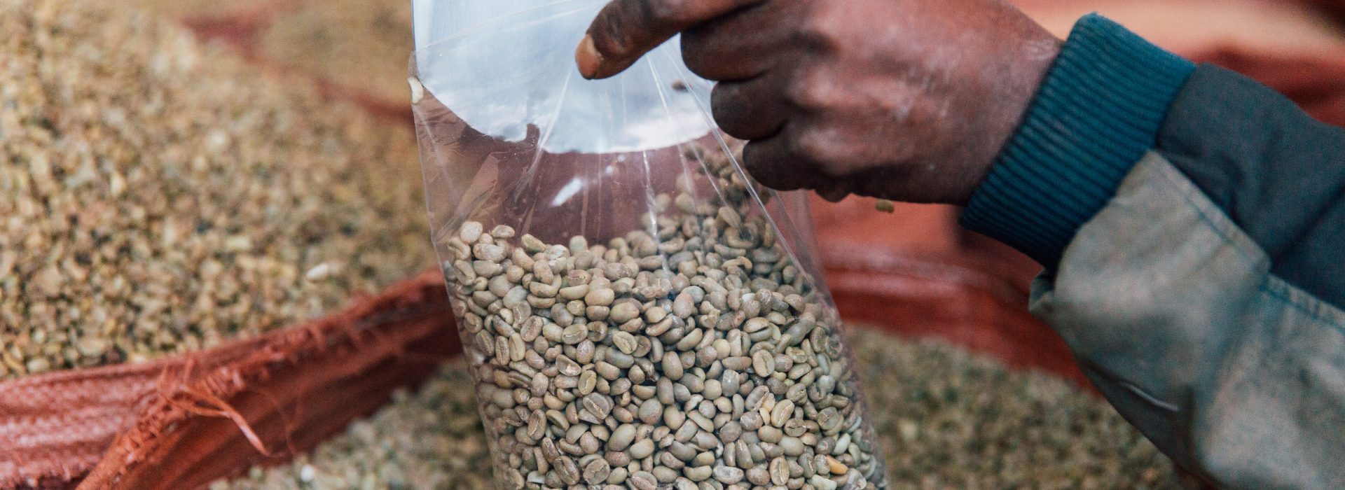 Vandana Shiva: Championing the Sacredness of Seed and Sustainable Agriculture