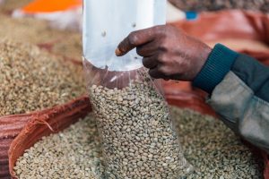 Vandana Shiva: Championing the Sacredness of Seed and Sustainable Agriculture