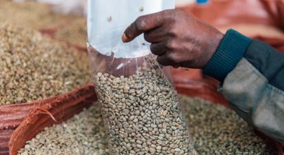 Vandana Shiva: Championing the Sacredness of Seed and Sustainable Agriculture