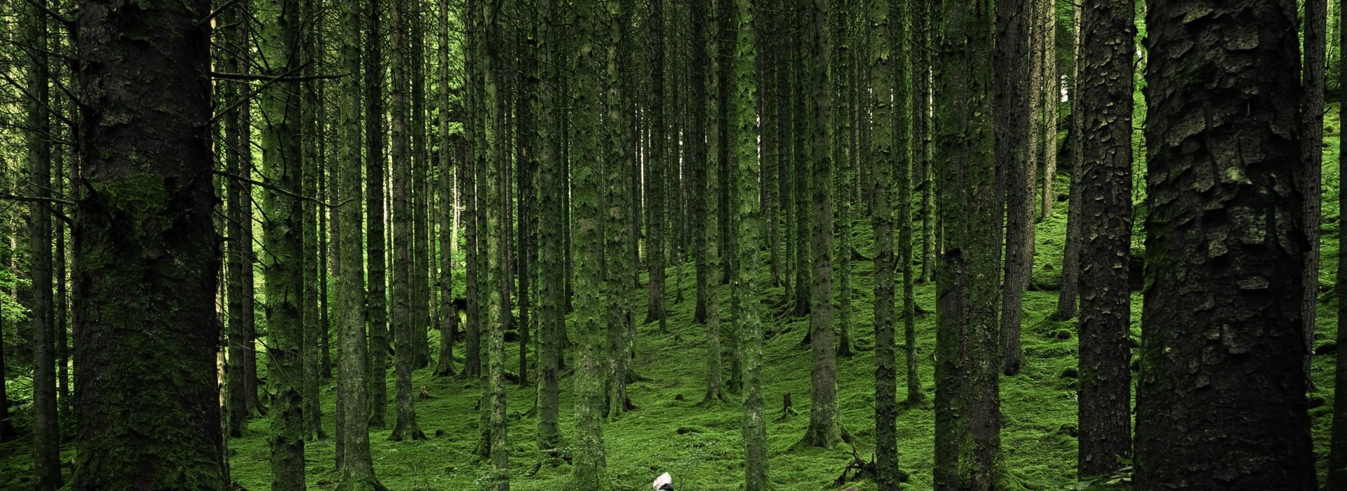 A Deep Dive into COP26, Spirituality, and the Climate Emergency