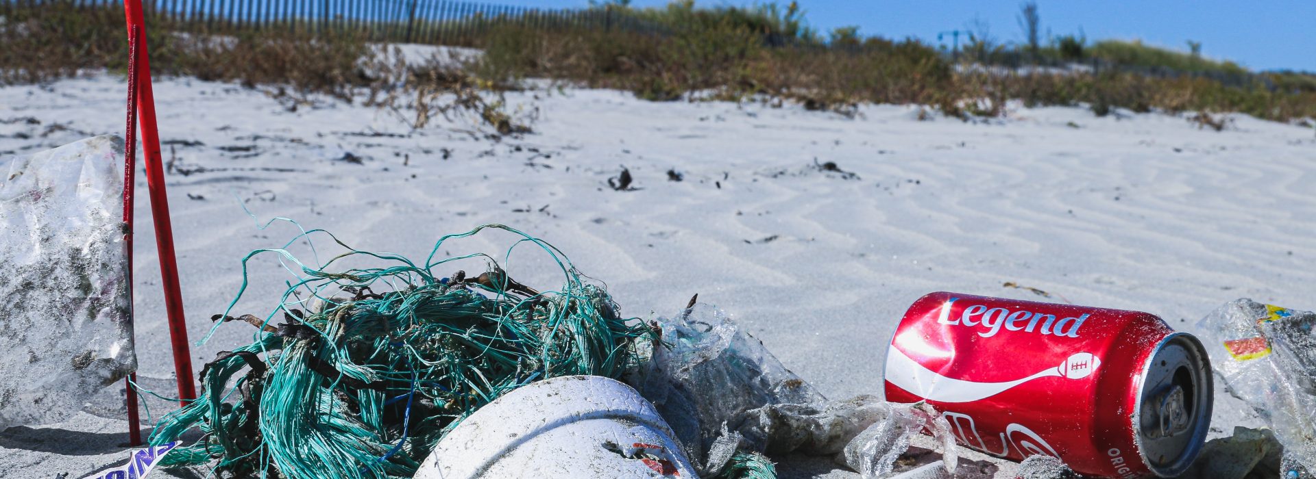 Coca-Cola, McDonald’s, and PepsiCo: The UK’s Biggest Packaging Polluters