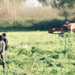 Revolutionizing Agriculture: The Impact of No-Till Farming