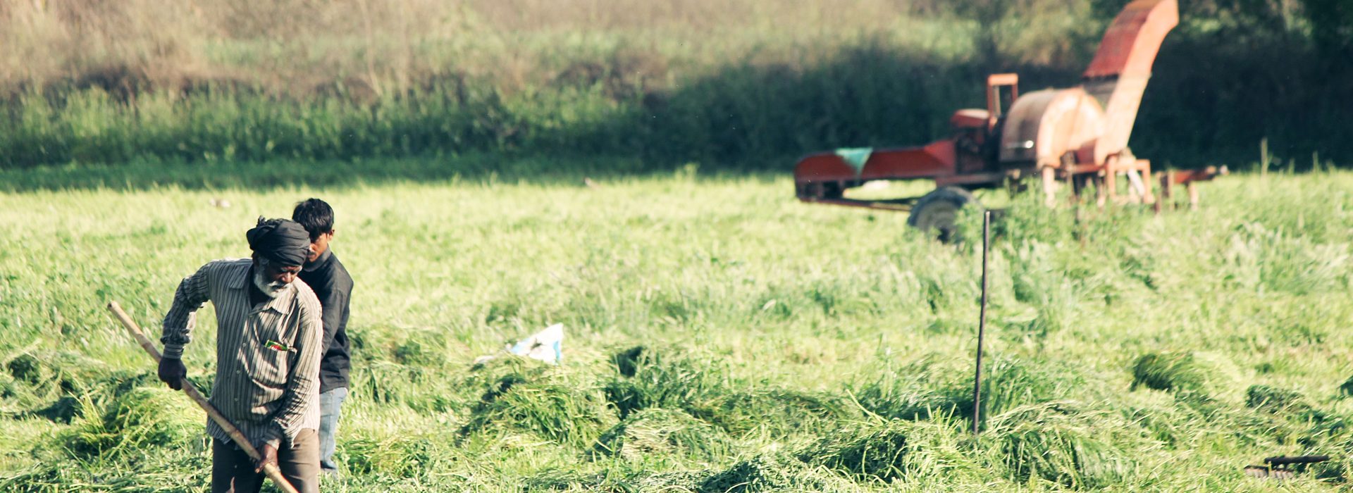 Revolutionizing Agriculture: The Impact of No-Till Farming