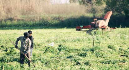 Revolutionizing Agriculture: The Impact of No-Till Farming