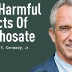 The Harmful Effects Of Glyphosate, The Most Common Agrochemical