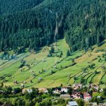 Empowering Communities: Nurturing Food Sovereignty for a Sustainable Future