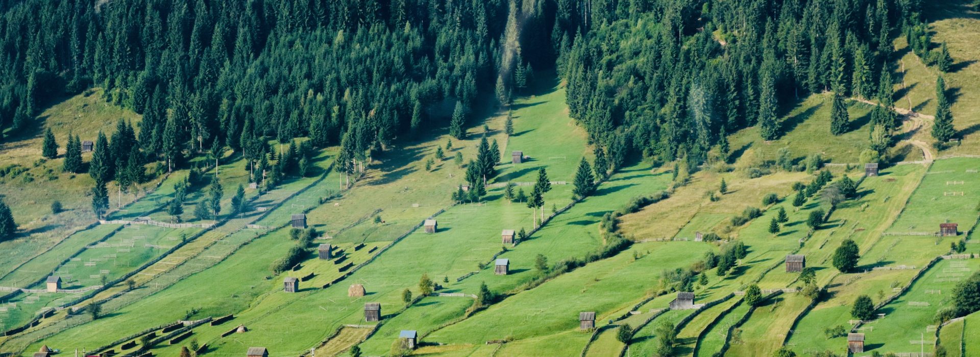 Empowering Communities: Nurturing Food Sovereignty for a Sustainable Future