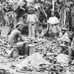 How European-Traded Aggry Beads Shaped African Societies