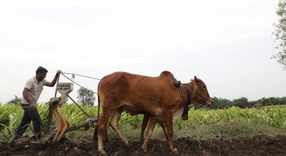 Reclaiming Agriculture: The Superiority of Traditional Wisdom Over Modern Science