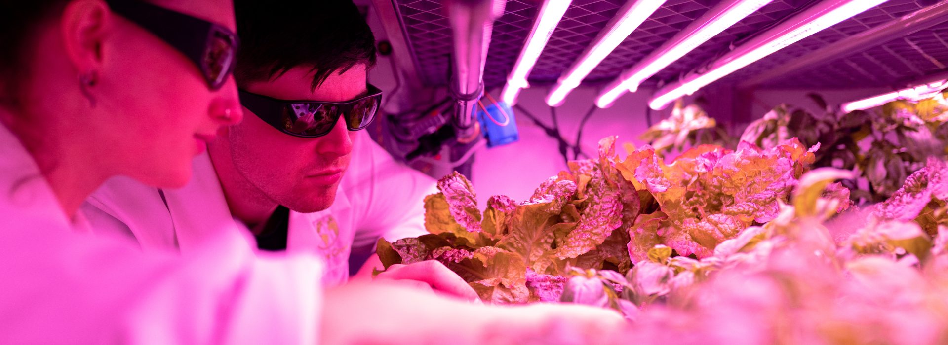 Tampering with the Web of Life: The Uncharted and Perilous Path of Genetic Editing