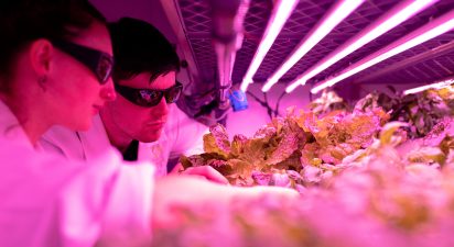 Tampering with the Web of Life: The Uncharted and Perilous Path of Genetic Editing