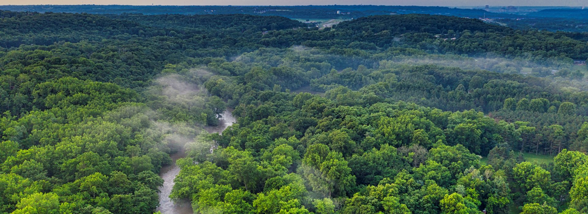 Understanding the Amazon Rainforest: A Deep Dive into the Crisis of Deforestation