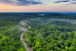 Understanding the Amazon Rainforest: A Deep Dive into the Crisis of Deforestation