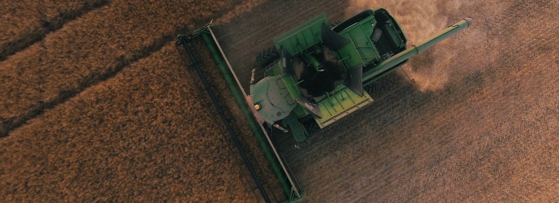 Biodiversity Loss and the Global Food System