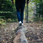 Ecology and Economy: A Delicate Balance