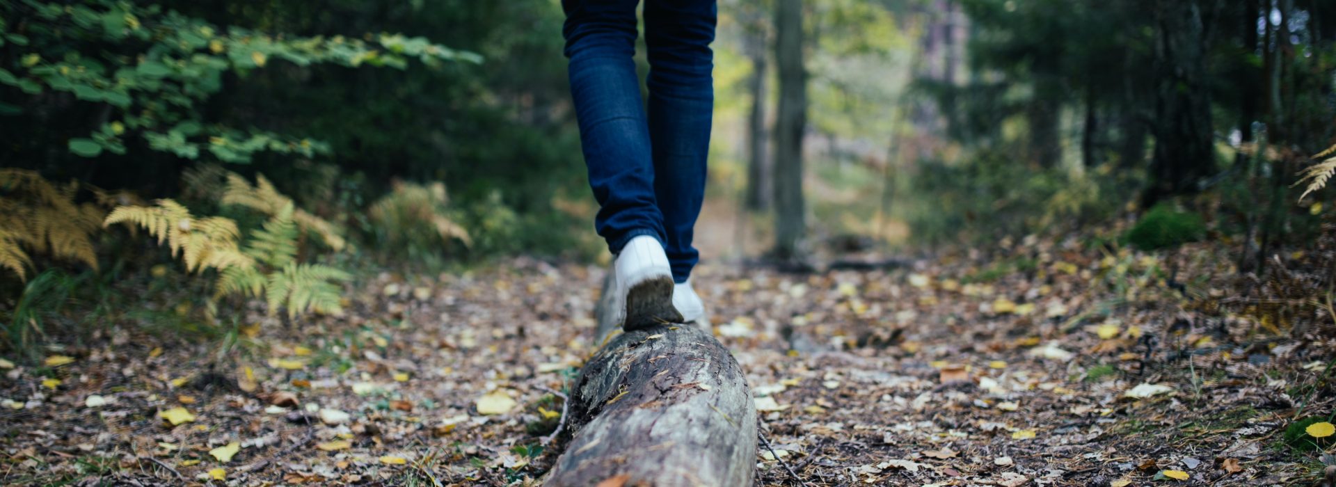 Ecology and Economy: A Delicate Balance