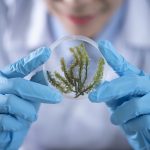 How Fake Food Accelerates the Collapse of the Planet and Our Health
