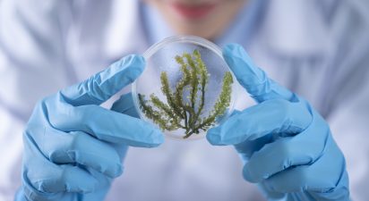 How Fake Food Accelerates the Collapse of the Planet and Our Health