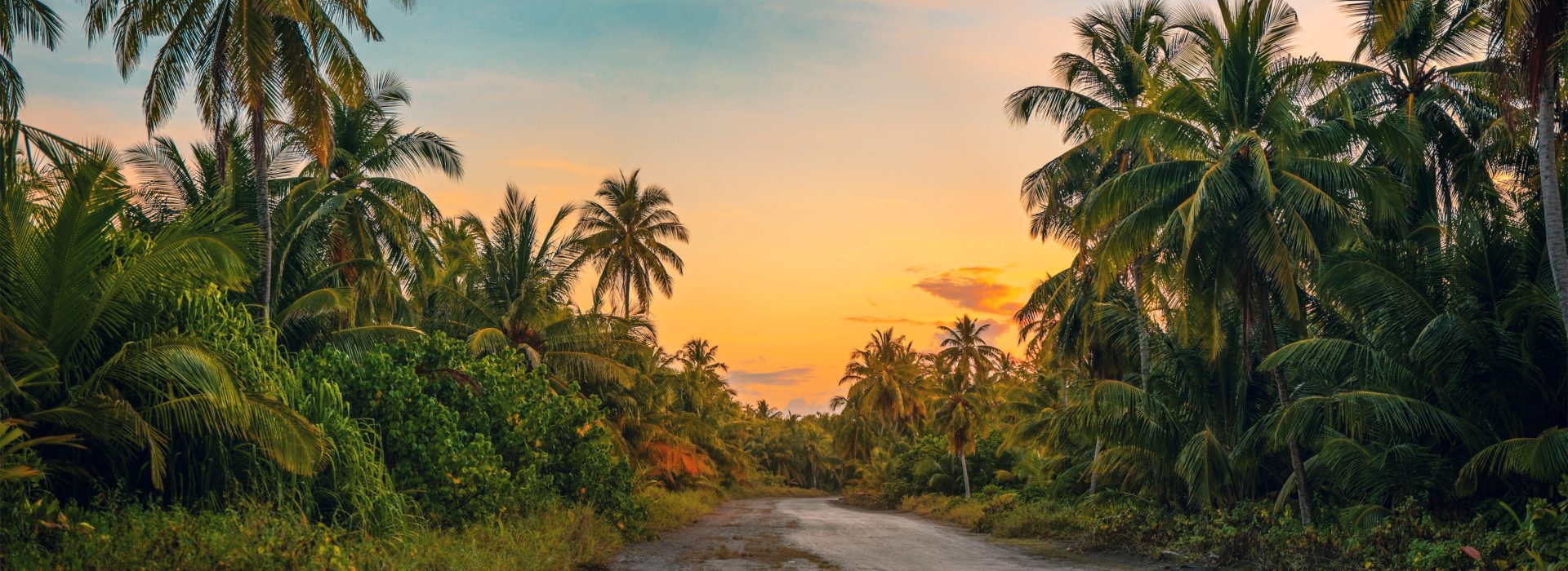 Natural Farming: A Journey with Varthur Narayana Reddy