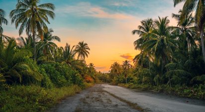Natural Farming: A Journey with Varthur Narayana Reddy