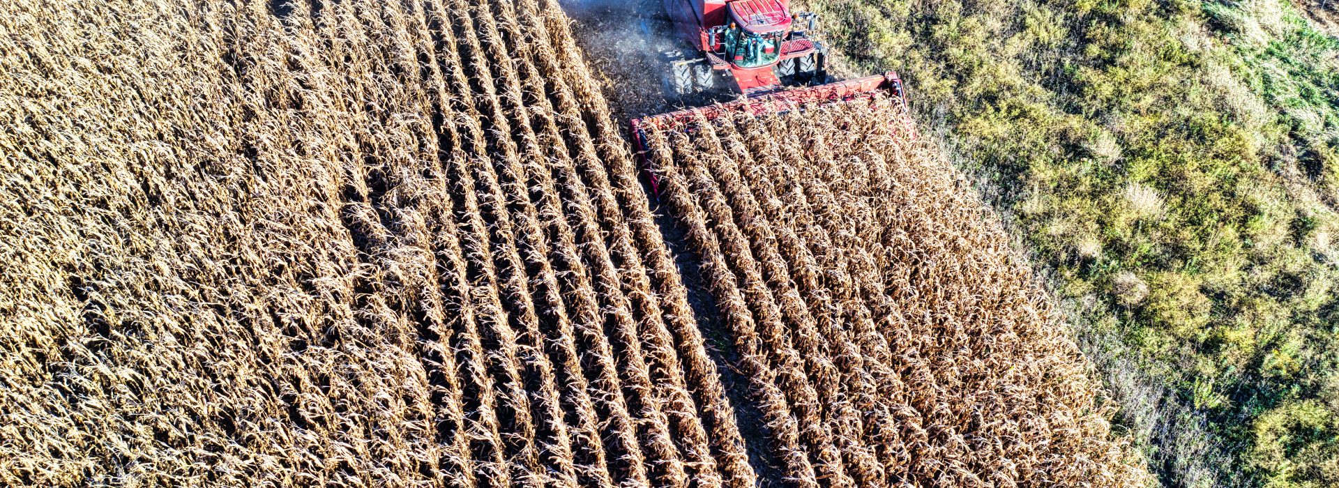 Unveiling the Truth: 10 Alarming Facts About Industrial Farming