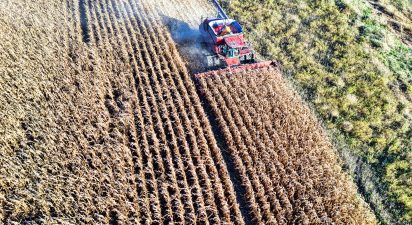 Unveiling the Truth: 10 Alarming Facts About Industrial Farming