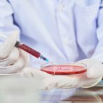 From Promise to Peril: An In-depth Look at the Environmental Hazards of Lab-Grown Meat