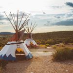 Unraveling the Ecological Tapestry: How Europeans Altered North America’s Natural Habitat