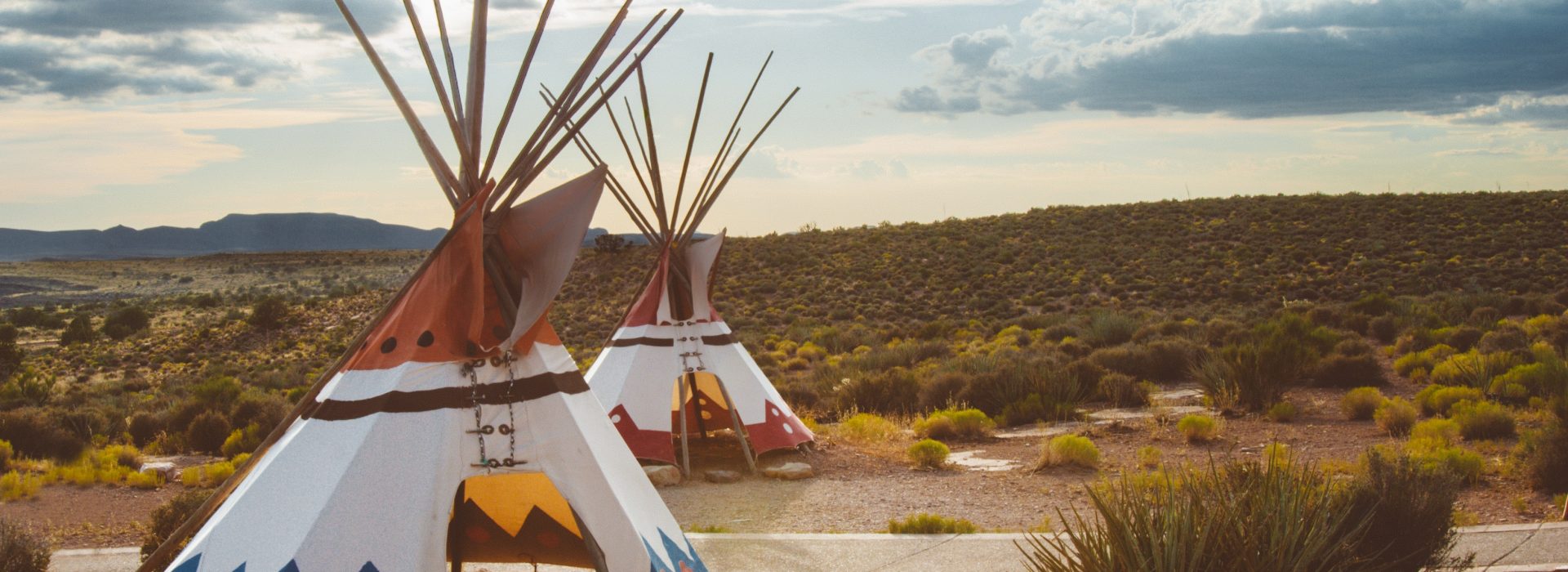 Unraveling the Ecological Tapestry: How Europeans Altered North America’s Natural Habitat