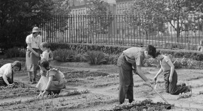 Urban Resilience and Community Growth: The Revival of Victory Gardens for a Sustainable Future