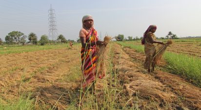 Groundbreaking Study Highlights the Superiority of Natural Farming