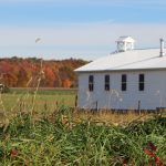 Learning Sustainability from the Amish Way of Life