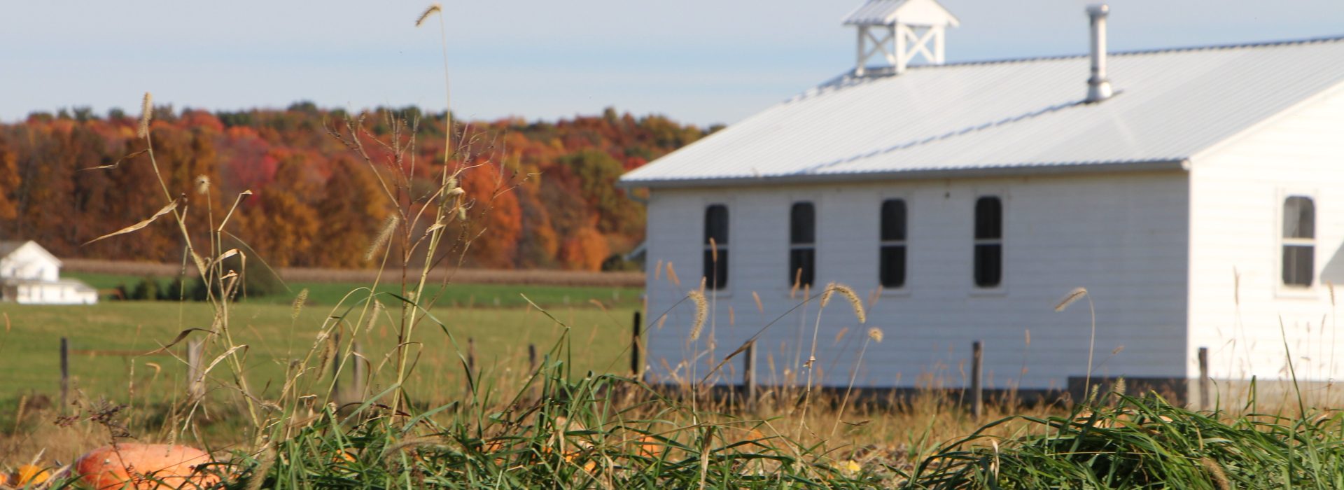 Learning Sustainability from the Amish Way of Life